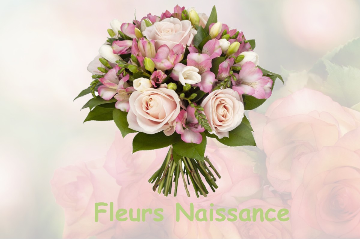 fleurs naissance NOGARET