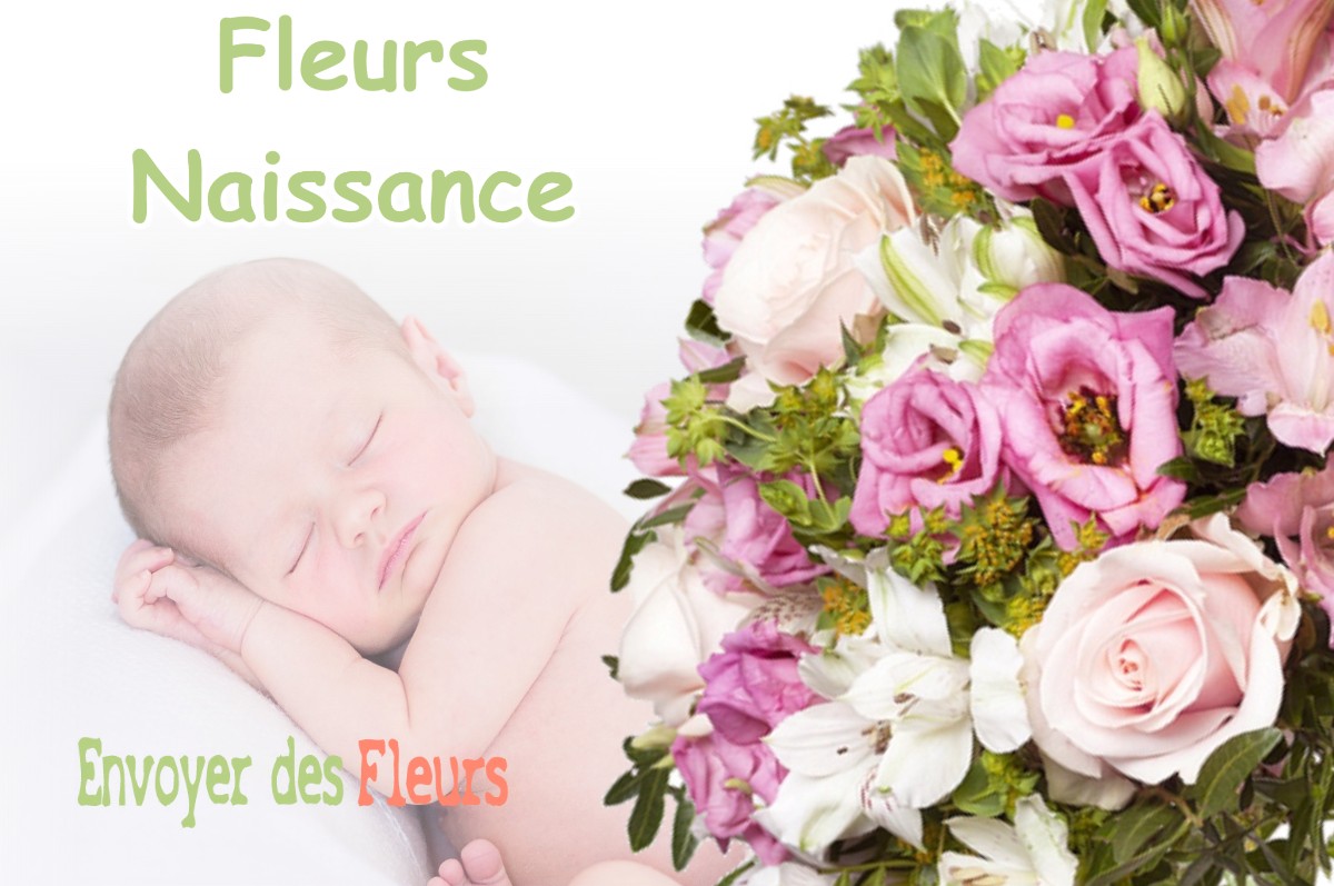 lIVRAISON FLEURS NAISSANCE à NOGARET