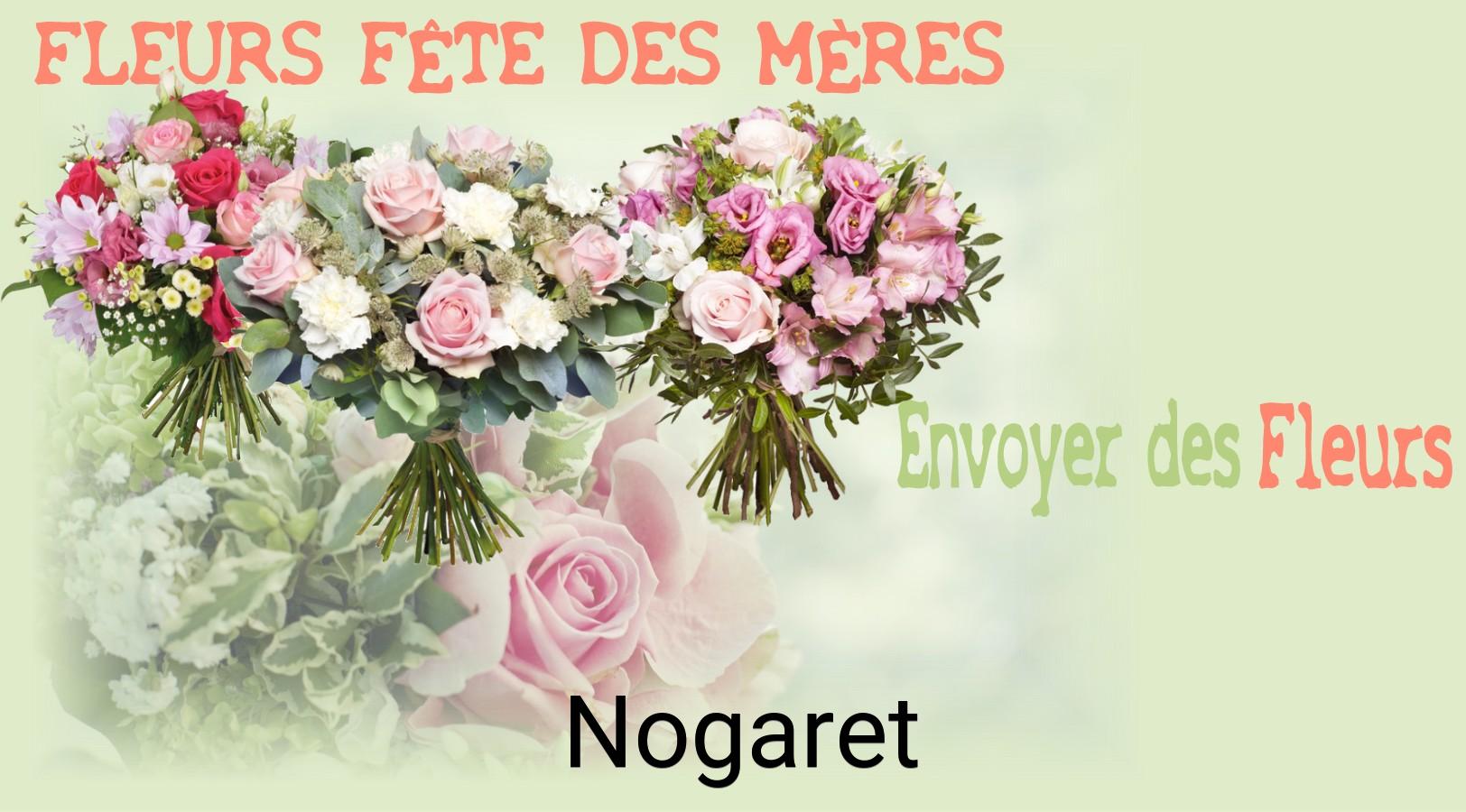 Bouquet de Fête des Mères livré à Nogaret